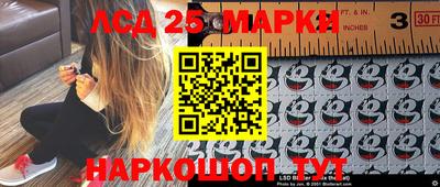 гидра Заводоуковск