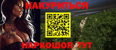 гидра Заводоуковск