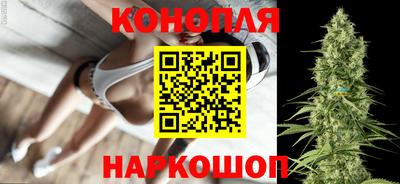 гидра Заводоуковск