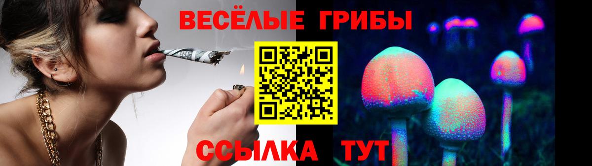 Галлюциногенные грибы прущие грибы  Вход с VPN  где купить наркоту  Междуреченск 